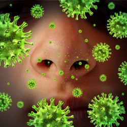 Indoor Air Quality and Seasonal Allergies